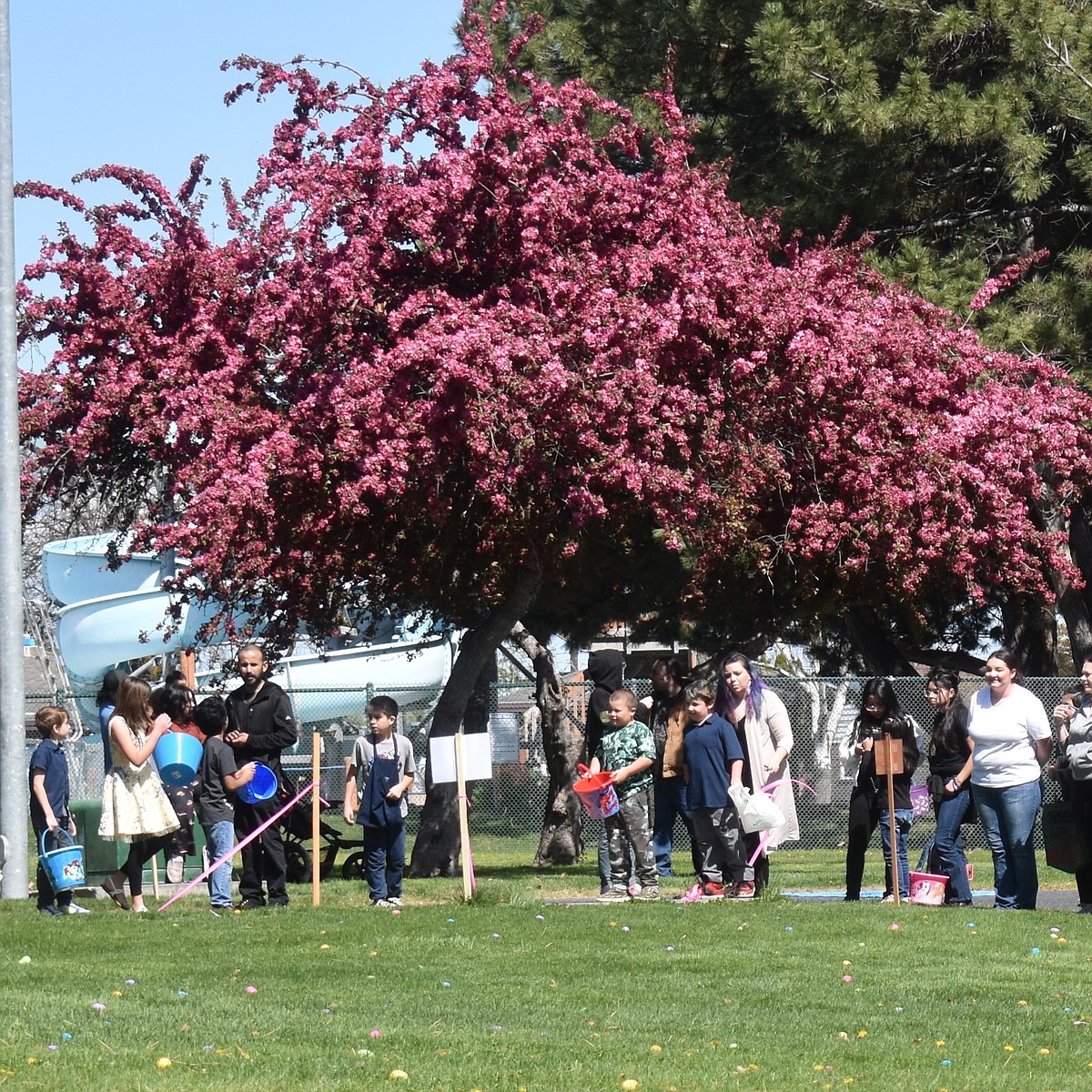 Basin Easter Events 2026 | Columbia Basin Herald