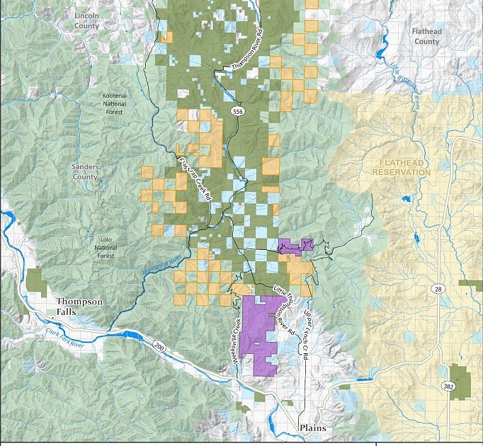 State looks to lock down 55,000 acres of Northwest Montana timberland in perpetual conservation easements
