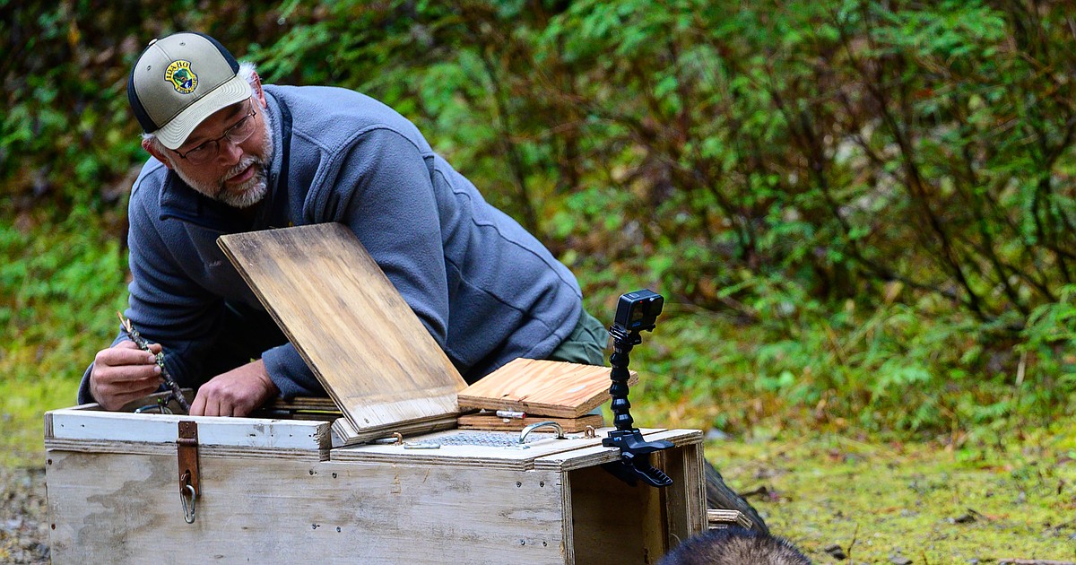 IDFG brings fishers home to North Idaho