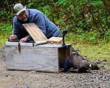 IDFG brings fishers home to North Idaho