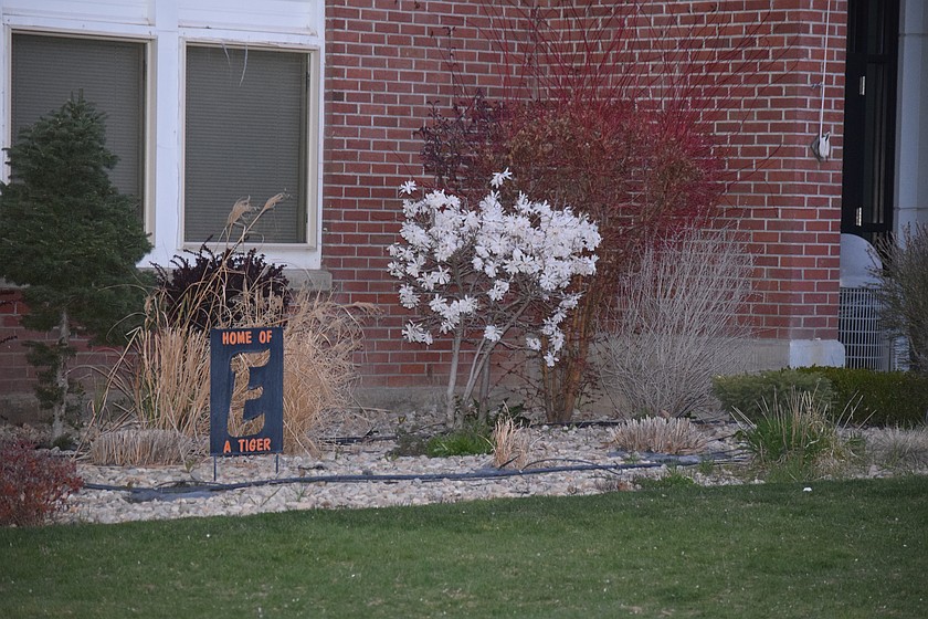 Trees show off a burst of color at Parkway Intermediate School in Ephrata Friday evening. Spring will continue to roll in over the next week with highs in the 60s most of the week and Monday expected to hit 75.