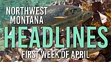Headlines: Motorist who struck child back in court, future uncertain for Bigfork's Sliter Park, lawsuit plans over forestry project, trout project planned