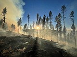 Spring prescribed burns planned in North Idaho