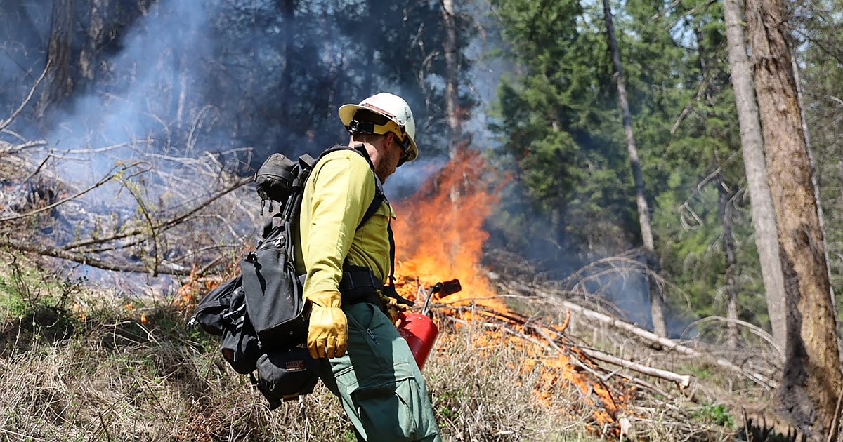 Idaho Panhandle National Forests begin prescribed burns