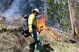 Idaho Panhandle National Forests begin prescribed burns