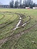 City asks residents to stop driving on park fields