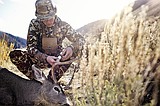 Hunter Harvest Report