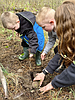 Daughters of the American Revolution, community members establish new forest