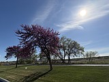 WEATHER: April 15-21