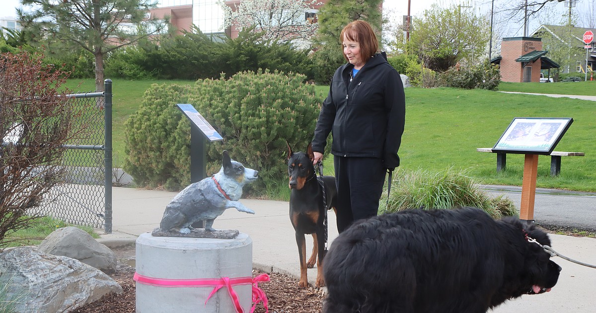 A dog, a mission, and 16,000 books