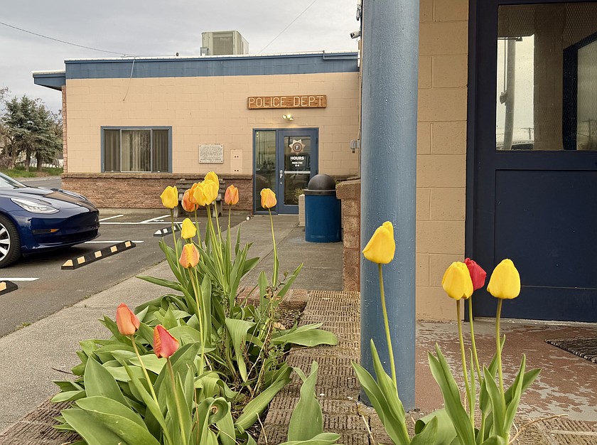 Tulips bloom outside of the Warden Police Department. One arrest was made Wednesday after a subject was found violating a domestic violence court order and had several outstanding court warrants.