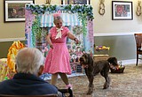 Prancing Paws gets all the 'awwws' with canine performers