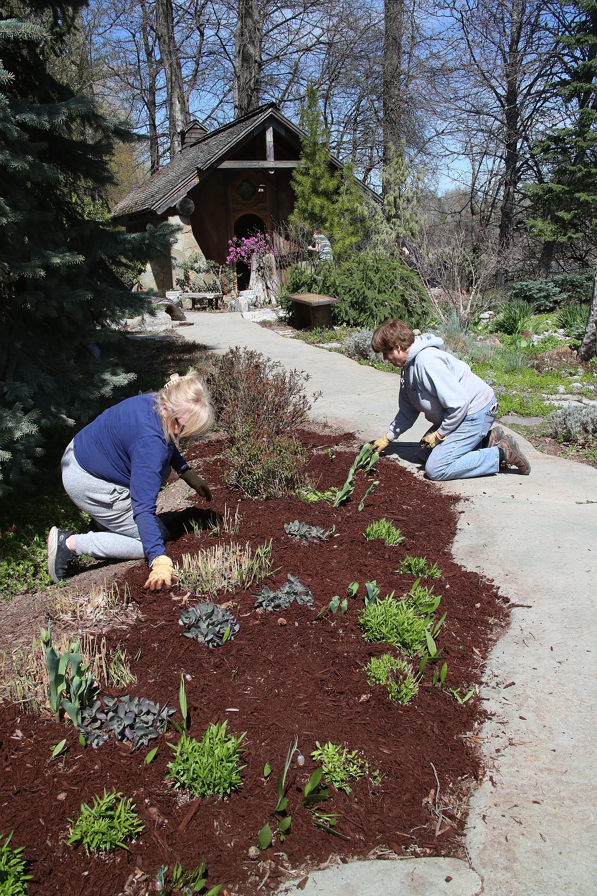 Volunteers work in the Healing Garden on Saturday during Bonner General Health's spring garden cleanup.