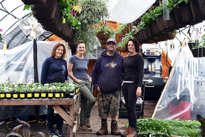 The Foster Flowers Wholesale Nursery team, Karen Whitby, Falina Lintner, Travis Foster and Lucia Herford recently transplanted seedlings. (Julie Engler/Whitefish Pilot)