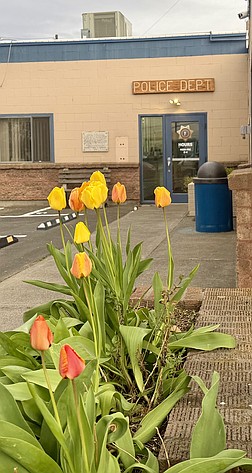 Two suspects were arrested this weekend in Warden after a report of a physical fight with shots fired happened at Warden City Park Friday.