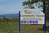 Post Falls forest sees regrowth after Parkway Fire