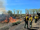 Mutually beneficial burn removes weeds, provides training