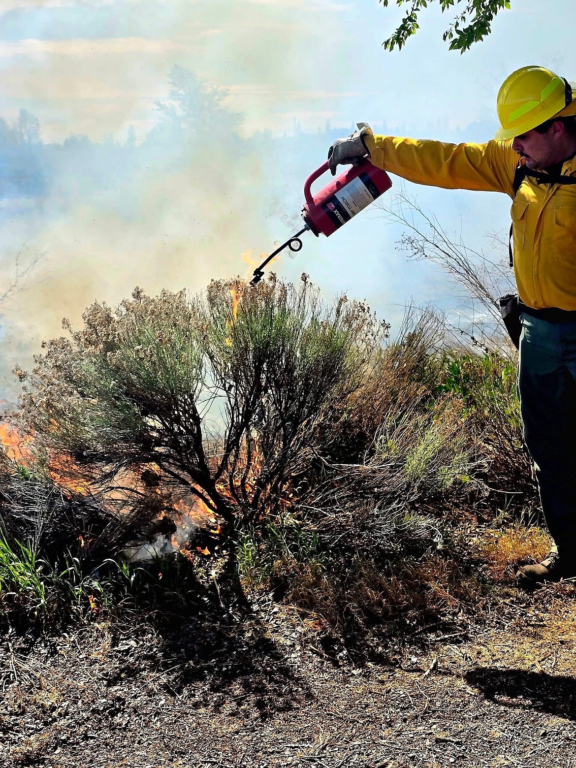 On Saturday, Grant County Fire District 7 firefighters work on containing a controlled burn with drip torches and hand tools. The City of Soap Lake partnered with the fire district to remove growth at the city's treated water holding ponds.