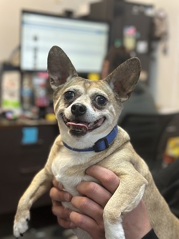 Big grin, bigger heart