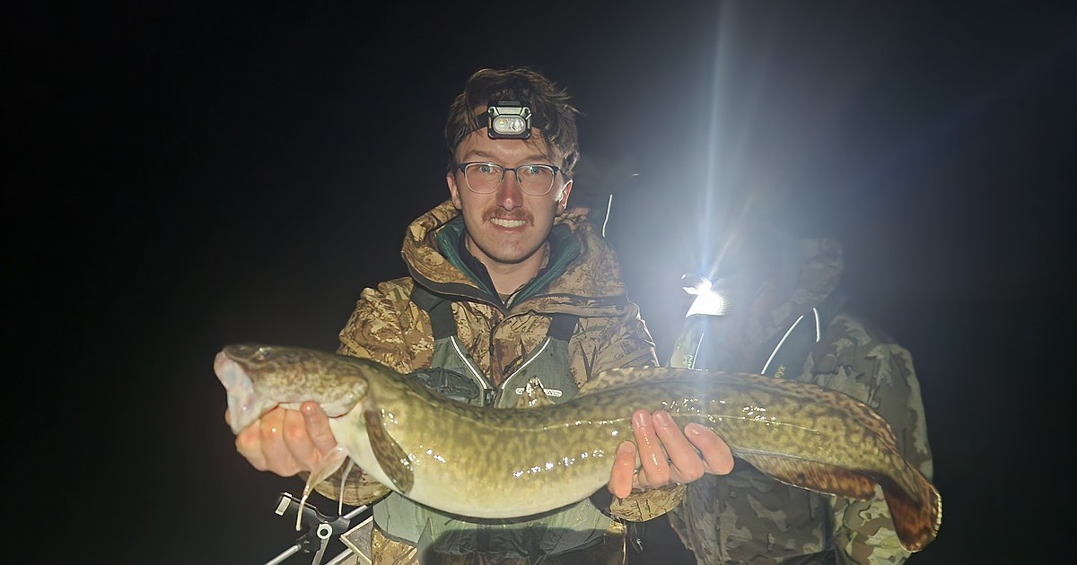 Record burbot hoisted out of Kootenai River
