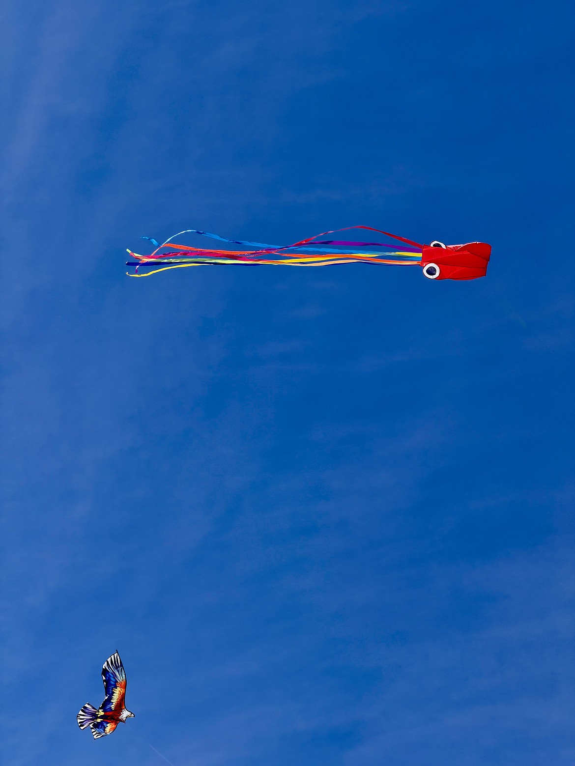 An octopus and a bird float above Lauzier Park Saturday.