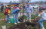 Continuing the tree planting tradition