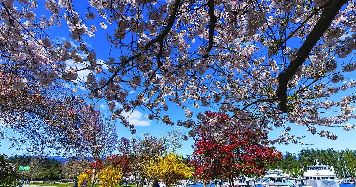 Idaho's 'springiest' day of the year is May 10