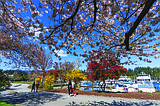 Idaho's 'springiest' day of the year is May 10