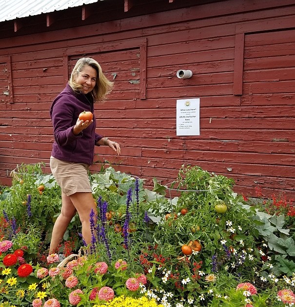 Seven pro tips for growing great tomatoes this year