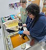 GCAO cat room open again after outbreak