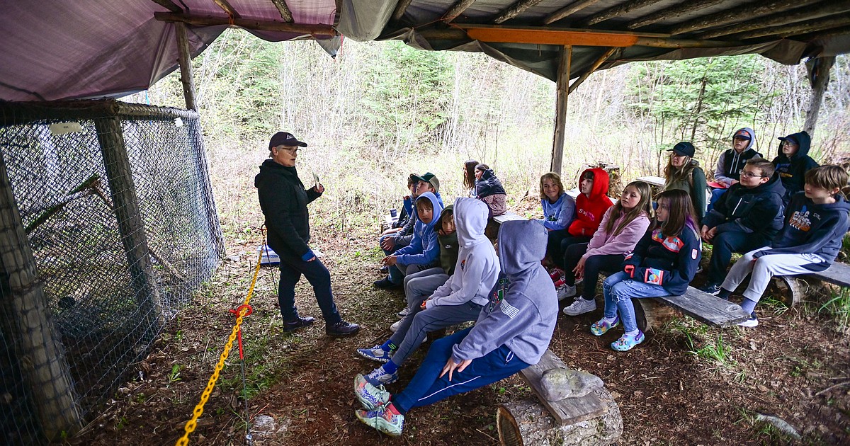 Annual Family Forestry Expo open to public on May 9