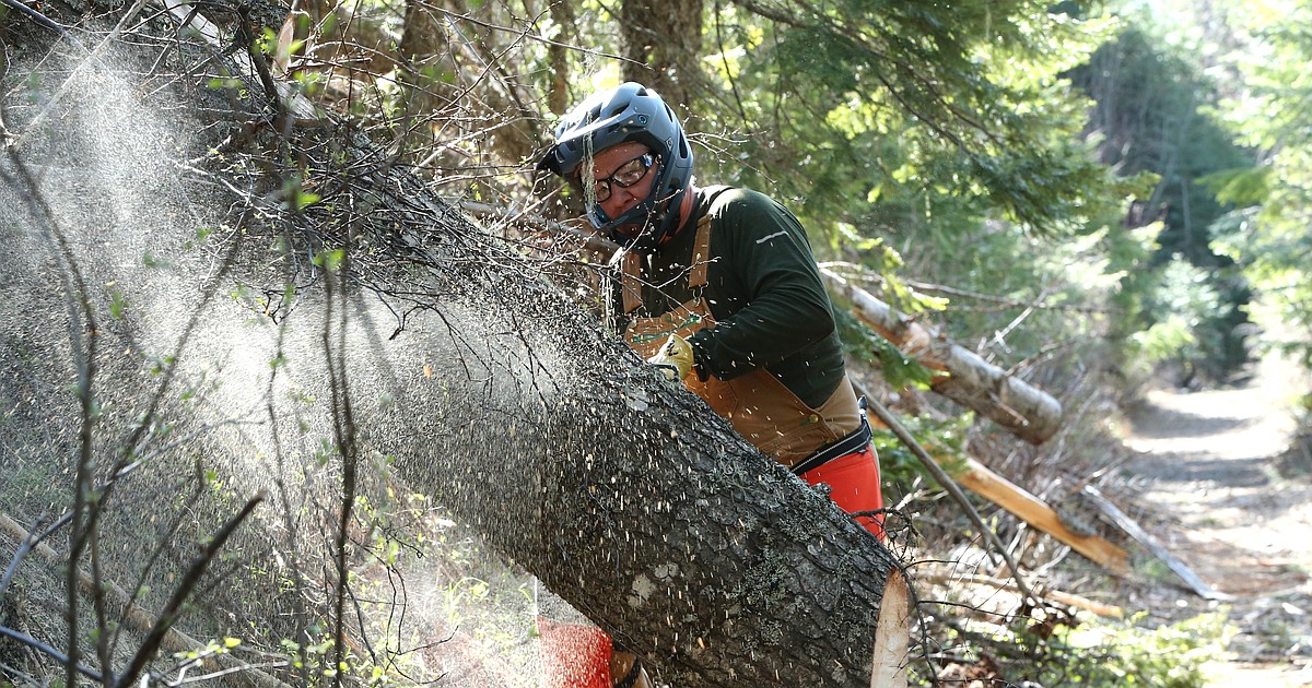 Back Country Association helps keep trails open
