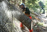 Back Country Association helps keep trails open