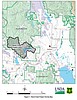 Forest Service says timber project’s impacts to endangered species minimal