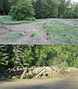 Hayden Creek restoration set for Saturday