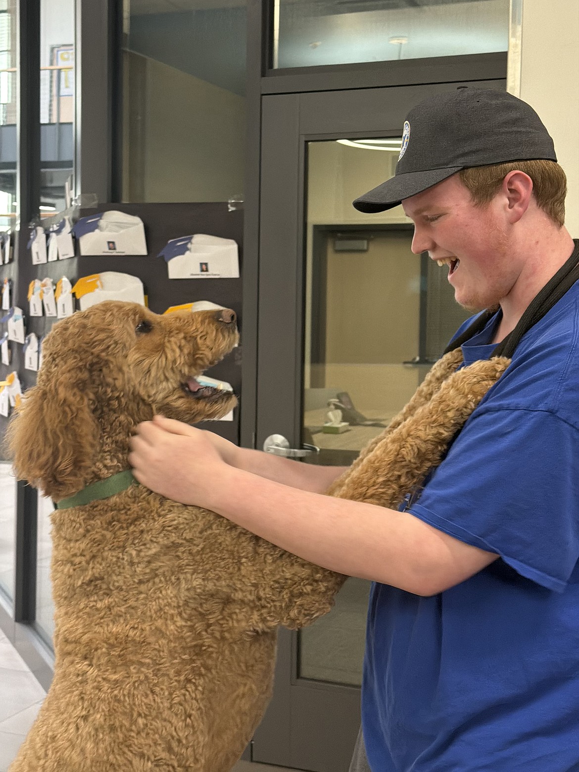 Vanguard Academy Senior Daniel Heeney will be attending Washington State University in the fall. He is hoping that someone else will step in and take over the therapy dogs at Vanguard.