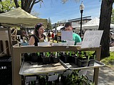Plants, crafts and good vibes