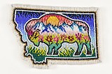 Beaded artwork to represent Montana in America 250 Time Capsule