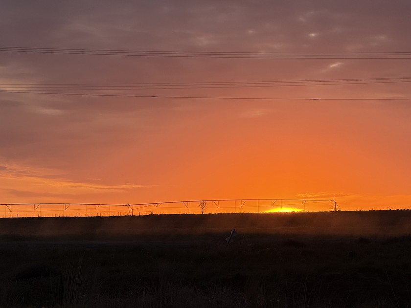 The last rays of the sun illuminate a field near Warden.