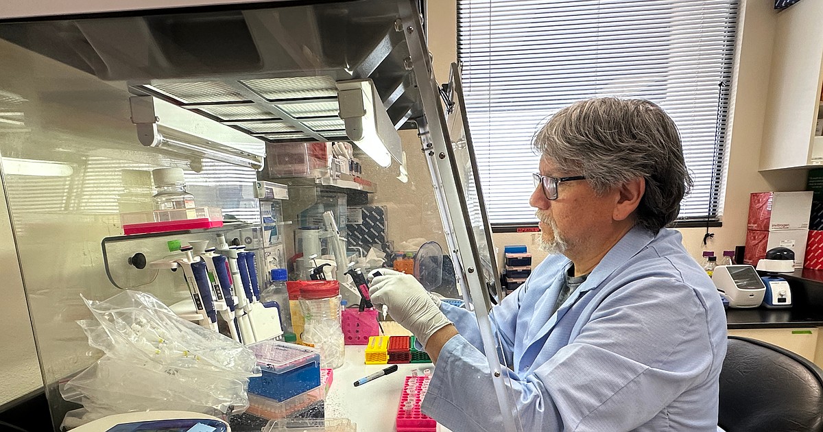 Hantavirus outbreak highlights ongoing public health questions