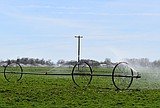 Basin Irrigation equipment and supplies