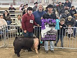 NCWJLS kicks off livestock show season
