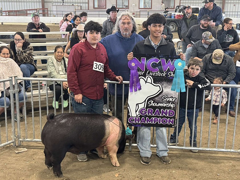 A young exhibitor shows his hog and his award at the North Central Washington Junior Livestock Sale in March.