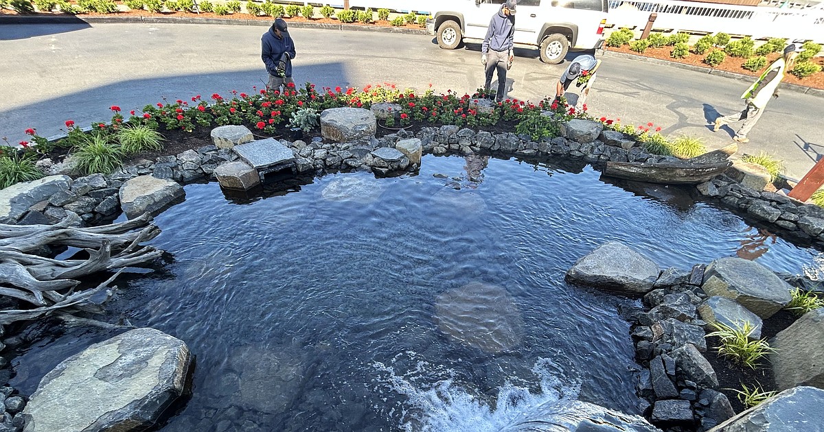 Geraniums planted around new water feature at The Resort