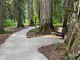 Ross Creek Cedars closed to motorized traffic in 2026