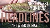 Headlines: Flathead Basin fish free of forever chemicals, Kalispell Public Schools' request for summary judgment in hazing lawsuit rejected