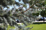 WEATHER: May 12-18