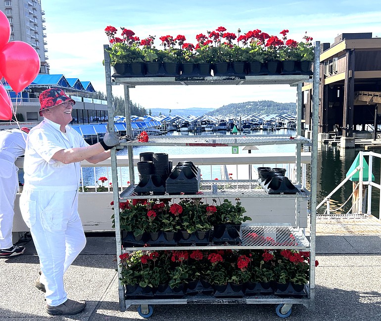 Thousands of geraniums planted outside Resort, other Hagadone properties