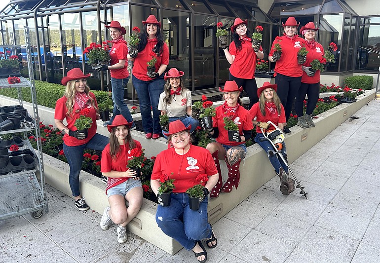 Thousands of geraniums planted outside Resort, other Hagadone properties