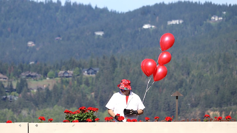 Thousands of geraniums planted outside Resort, other Hagadone properties